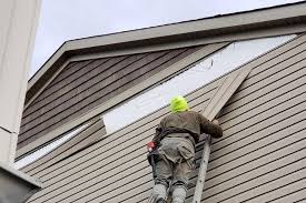 Best Fascia and Soffit Installation  in , MI